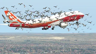 Boeing 747 Emergency Landing After Bird-Strike | XPlane 11