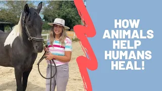 How Animals Help Humans Heal!