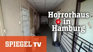 Horror-Haus in Hamburg: Leben zwischen Schimmel und Dreck | SPIEGEL TV