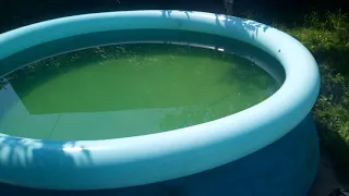 Цветёт вода в бассейне. Простое решение.