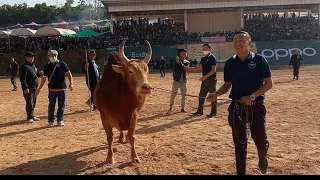 Nyuj Dengfabphaj Vs Npom faj