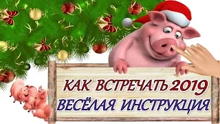 2019 ВЕСЁЛАЯ ИНСТРУКЦИЯ КАК ВСТРЕЧАТЬ НОВЫЙ ГОД