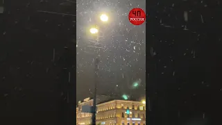 Первый снег в Питере! ❄️БОЛЬШЕ ВИДЕО В НАШЕМ ТГ-КАНАЛЕ 🔥ССЫЛКА В ШАПКЕ ПРОФИЛЯ ⬆️