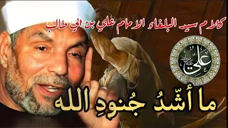 ما اشد جنود الله | الامام علي عليه السلام | الشيخ محمد الشعراوي رحمه الله