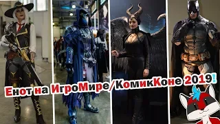 Енот на ИгроМире/КомикКоне 2019!