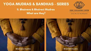 Bhairava & Bhairavi mudras  - What are they?  Shailendra Singh Negi, Vedic Yoga Centre