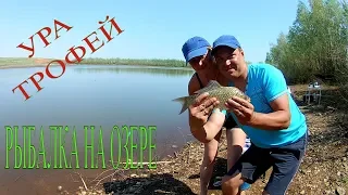 Рыбалка на карася. Первый трофей/Fishing for carp. First trophy