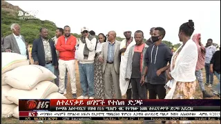 DW International አማርኛ ዜና ሰዓት 07:00 ፣ 24 ሓምሌ 2015 ዓ/ም Live Streaming