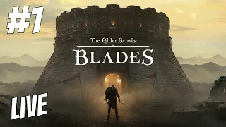 THE ELDER SCROLLS BLADES  NINTENDO SWITCH LIVE PART 1