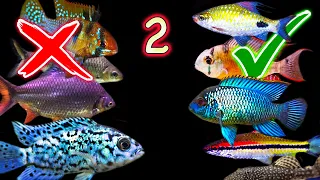 The Replacements 2: Troublesome Aquarium Fish and Better Options!