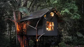 ALONE in a cosy Rain Forest Treehouse [ Relaxing solo at the fire place - Glam Camping ASMR ]