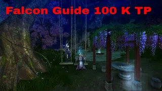 Age of Wushu 九阴真经 九陰 :: Falcon Guide: How to open your 100 k