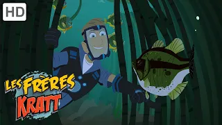 Les Frères Kratt |Classe De Basse| Saison 1