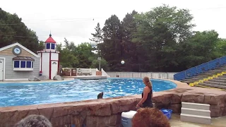 Oceans of Fun Sea Lion Show Milwaukee County Zoo 6-17-17