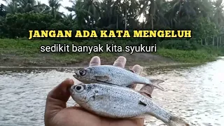 BESAR KECIL BUKAN JADI UKURAN‼️ Yang Penting Hati Bahagia 🥰@mancing_ikan.