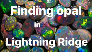 Where to find opal in Lightning Ridge