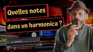 Quelles notes sur un harmonica et comment en jouer ? - 5 min pour vous répondre