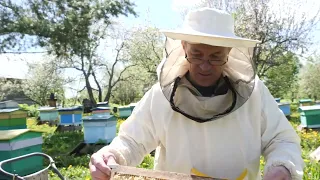 Пчеловодство № 125 Как правильно подставлять вощину?! Или как увеличить запас суши.