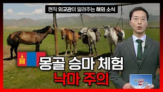 몽골에서 승마 체험 시 낙마 등 안전사고 주의 / YTN korean