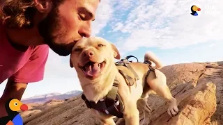 Fearless Rescue Dog Jumps Off Cliffs With His Dad | The Dodo