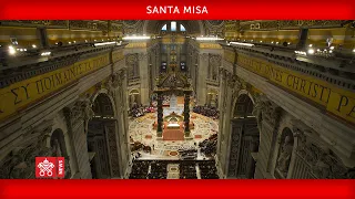 Noviembre 29 2020, Santa Misa con los nuevos cardenales - Papa Francisco