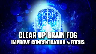 Clear Up Brain Fog | Heal Your Gut  | Brain Boosting Frequency | Improve Concentration And Focus