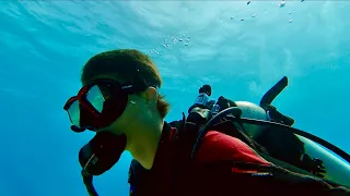 Sharks, Sea Turtles, and MORE! Florida Keys Scuba Diving (GoPro Hero 9)