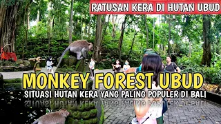 MONKEY FOREST UBUD BALI | SITUASI BALI SAAT INI