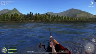 Как ловить на водоеме Яма🍀Фарм точки на Яме🍀Русская рыбалка 4🍀РР4🍀RF4🍀Спиннинг