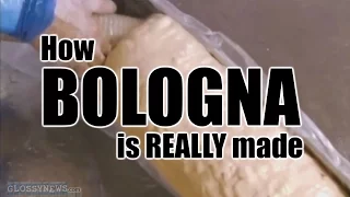 GN: How Bologna is REALLY made (the truth!)