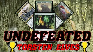 UNDEFEATED WITH TORSTEN ELVES! Legacy trophy with combo Elves MTG.