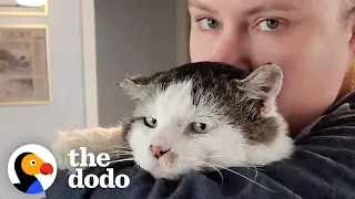 This Cat Was Left Behind When His Owner Moved Away | The Dodo