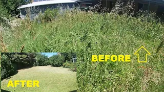 Mowing overgrown lawn with #Honda lawn mower - Overgrown cleanup