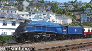 60007 "Sir Nigel Gresley" exercises caution with the 'English Riviera Express' 03/06/2023