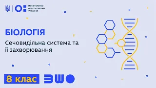 8 клас. Біологія. Сечовидільна система та її захворювання