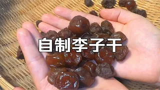 最简单的李子干做法来罗，外皮干燥，内里泛蜜，和外面买的一模一样，关键是健康无添加，家里有小孩儿老人喜欢吃这个的真的可以试一试