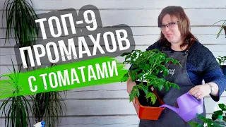 Рассада томатов: 9 ГЛАВНЫХ ОШИБОК