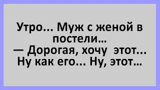 Утро, муж с женой в постели. Дорогая, хочу... Сборник смешных анекдотов! Юмор!