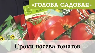 Голова садовая - Сроки посева томатов