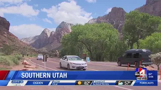 Drunk driving at Zion National Park