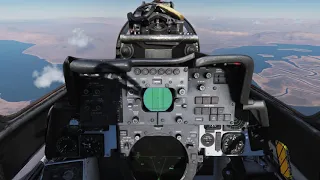 DCS F-14B RIO seat air combat (TWS AIM-54 Phoenix)