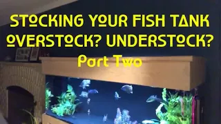 STOCKING YOUR FISH TANK-Overstock or Understock? Part 2 (the Debate Continues with Special Guests)