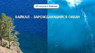 60 секунд о Байкале. Байкал - зарождающийся океан