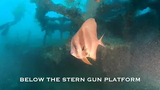 Diving the Iro oiler shipwreck in Palau 080522