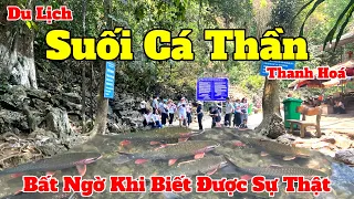 Suối Cá Thần Thanh Hoá Và Những Câu Chuyện Đầy Bất Ngờ