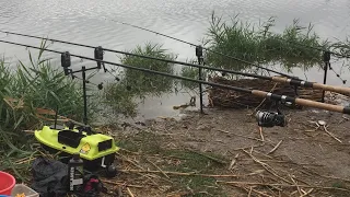Рыбалка в дождь. Пруд «Зеркало» Ставропольский край х. Калаборка.