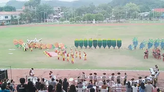 Kinabayo festival 2019 grand champion