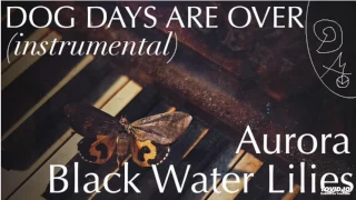 AURORA - Black Water Lilies (Instrumental Cover)