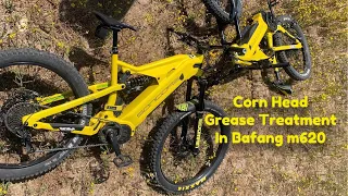 Corn Head Grease Treatment   Bafang m620 Ebike Motor