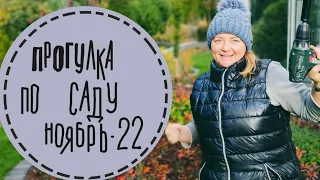 Приглашаю на прогулку по нашему ноябрьскому саду!